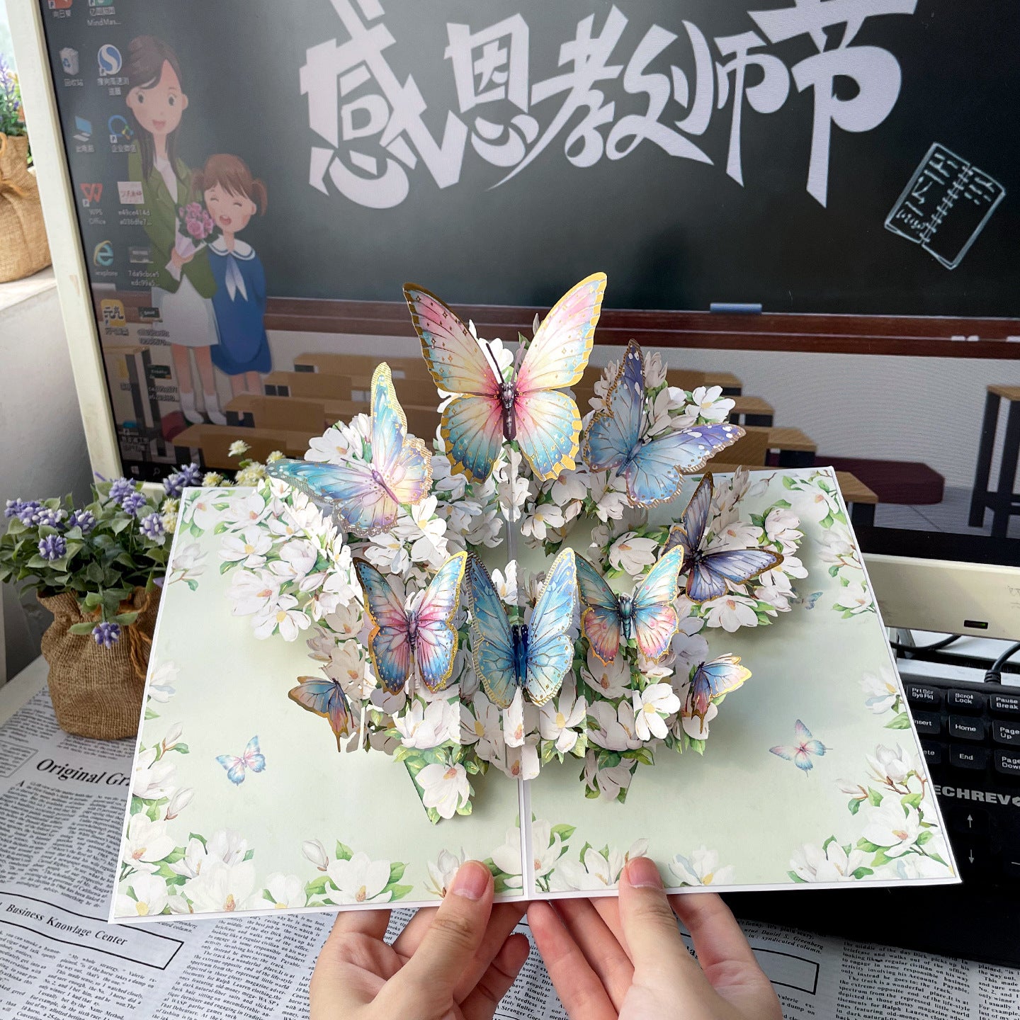 SKU-07-玉兰香蝴蝶.jpg