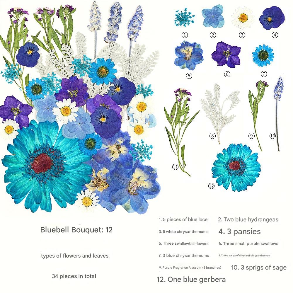 Create with Nature — Plant Dyeing Tools