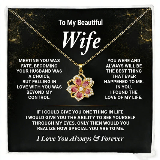 To my wife—Never forget how much I love you