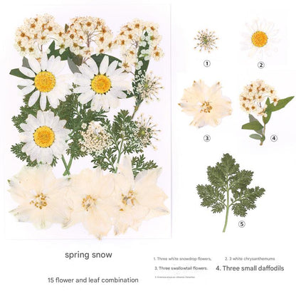 Create with Nature — Plant Dyeing Tools