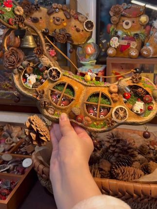 Hand-Polished Entada Bean Decor - Exotic Plant Seed Ornament for Shelf & Table